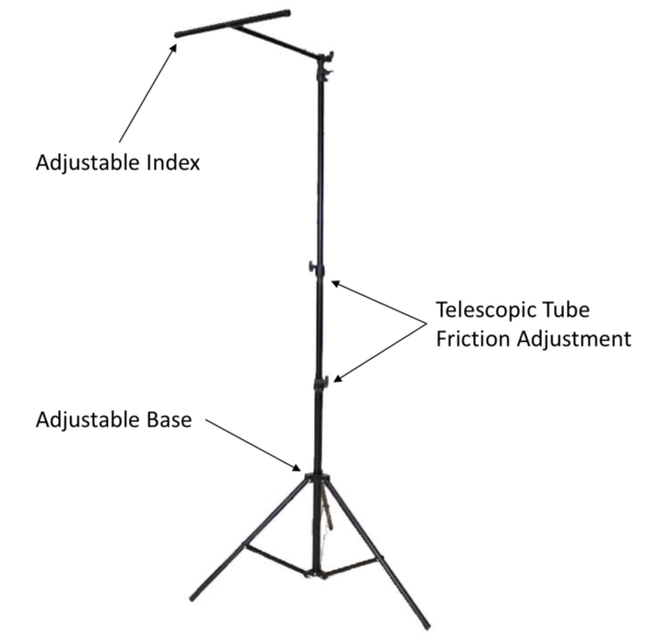 The Posture Post - Image 2